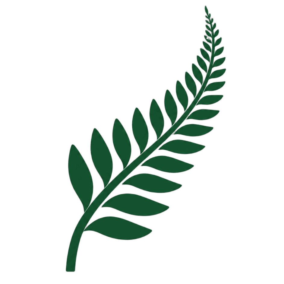 Close-up of a green fern leaf, symbolising eco-friendly and sustainable products offered by EcoNetStore. Perfect for environmental and nature-focused themes.